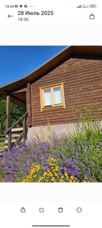 Продаж будинок (дача) Давидківці - фото 1