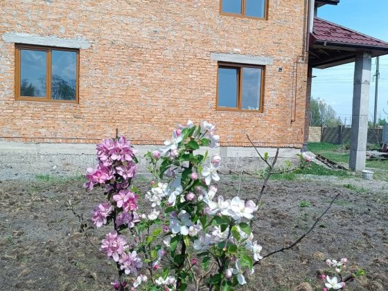 Продам будинок в смт Гірник Шептицький