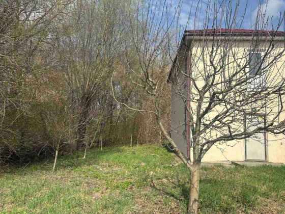 “Будинок + 12 соток біля лісу! Гараж, тиша, Південно-Захід” 31244 Хмельницький