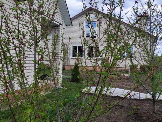 Продається будинок в м Шостка , Сумська  обл.   на  ділянці 10 соток з окремою банею Шостка
