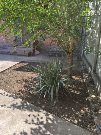 Будинок в центрі - фото 1