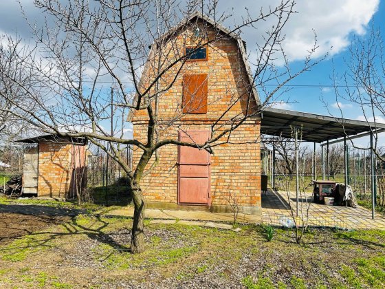 Продається доглянутий сад із виноградником та житловим будинком. Нікополь