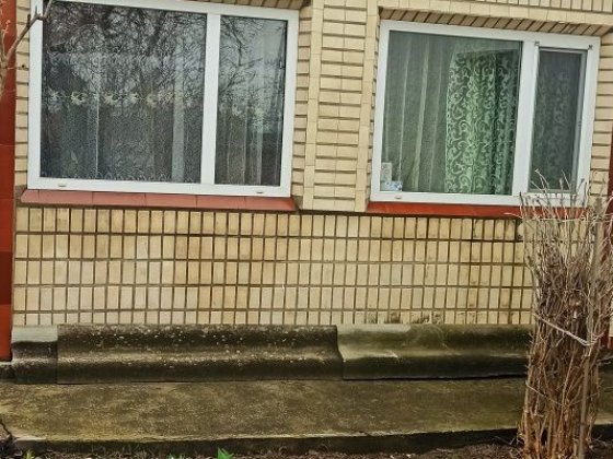 Продаю будинок садибного типу Немирів