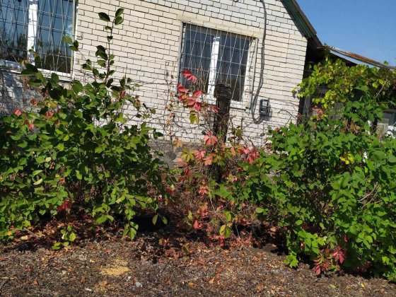 Продам ділянку з будинком в садовому товаристві міста Підгороднє Підгородне