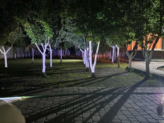 Продам дом-дачу (зимнюю) Підгородне