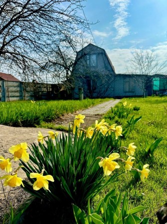 Продам Дачу в Обухівці - фото 1