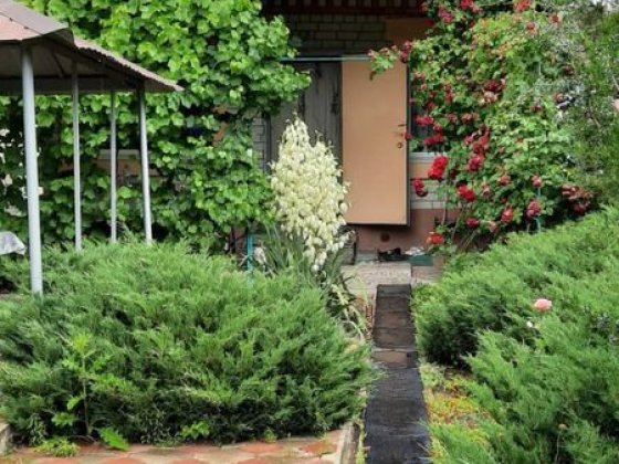 Уютная дача у реки, Подгородное Підгородне