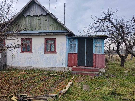 Продається будинок, с. Табори