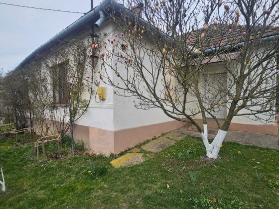 Продаж будинку в Сваляві цегляного Свалява