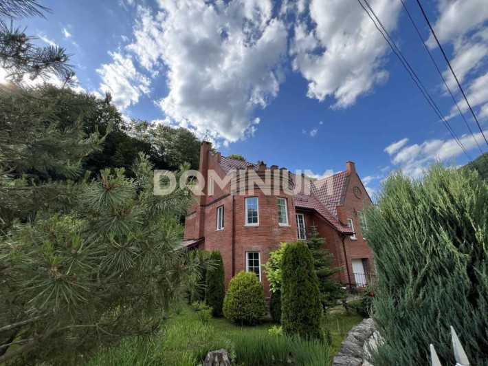 Продається котедж в с. Шаян - фото 1