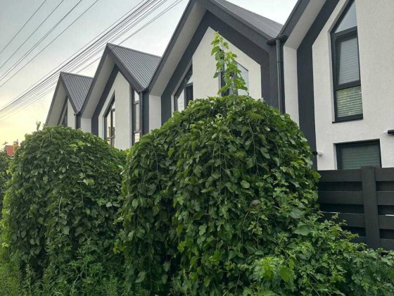 Продаж/Таун Хаус/ Святопетрівскье/90m2/140000дол./Генератор Святопетровское