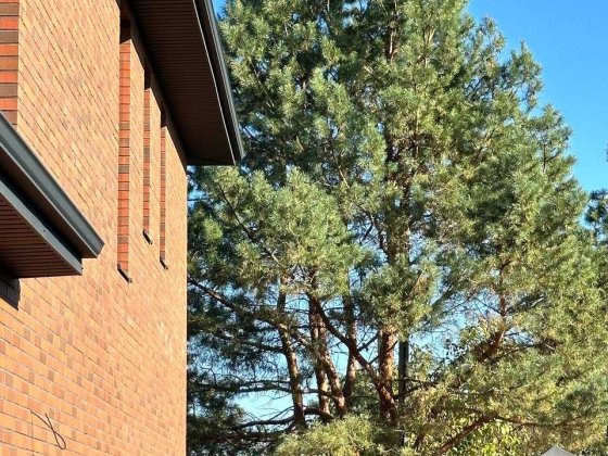 ПОВНОЦІННИЙ та якісний будинок 160 м2 на 6 сотках - вигідна пропозиція