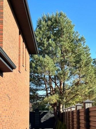 ПОВНОЦІННИЙ та якісний будинок 160 м2 на 6 сотках - вигідна пропозиція - фото 1