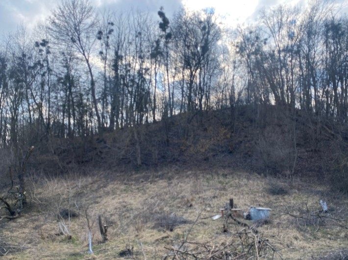 Продажа будинку з землею - фото 1