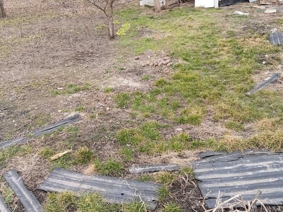 Продам дом с Лемешивка Яготин