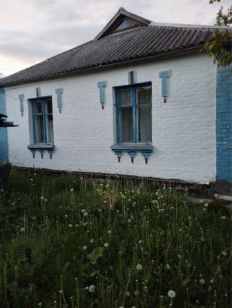 Продаю будинок Киівська обл. Білоцерківський р-н. - фото 1