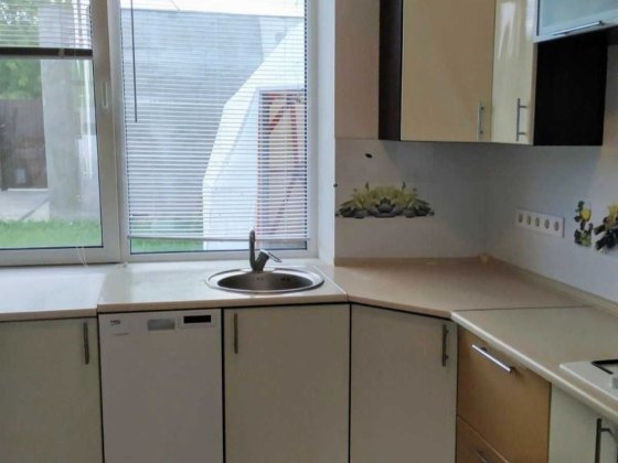 Будинок з ремонтом Бобриця