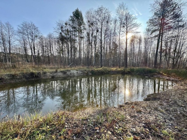 Будинок з власним  озером в Здвижівці - фото 1