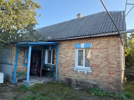 Будинок у селі Петрушки Петрушки