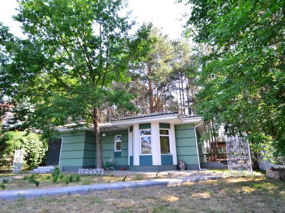 Будиночок під соснами між Козинкою та Дніпром. Плюты