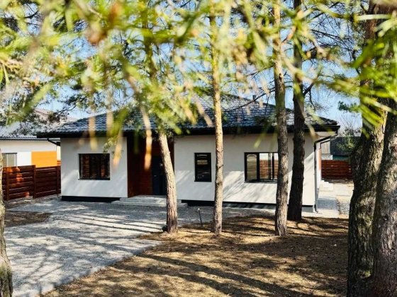Новий будинок біля Дніпра 25 км до Києва Процев