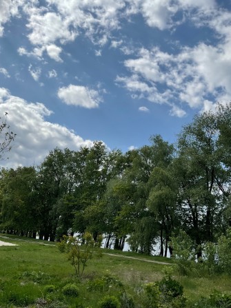 Перша лінія від Десни, дача на 18 сотках. - фото 1