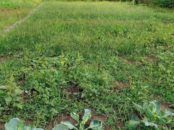 Продам дачу в селі Фурси СК Джерело