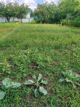 Продам дачу в селі Фурси СК Джерело - фото 1