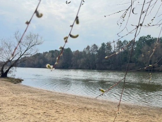 Охайна літня дача в 200 м від Каналу, масив Світанок, Хотянівка!