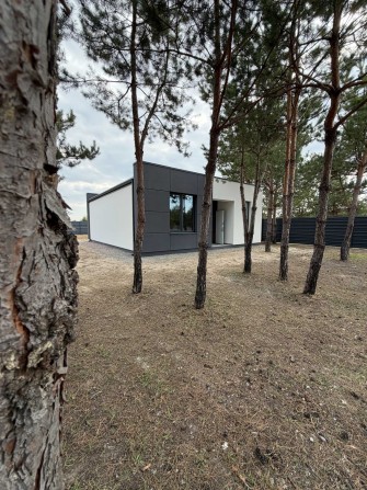 Окремий одноповерховий цегляний будинок в лісовій локації! - фото 1