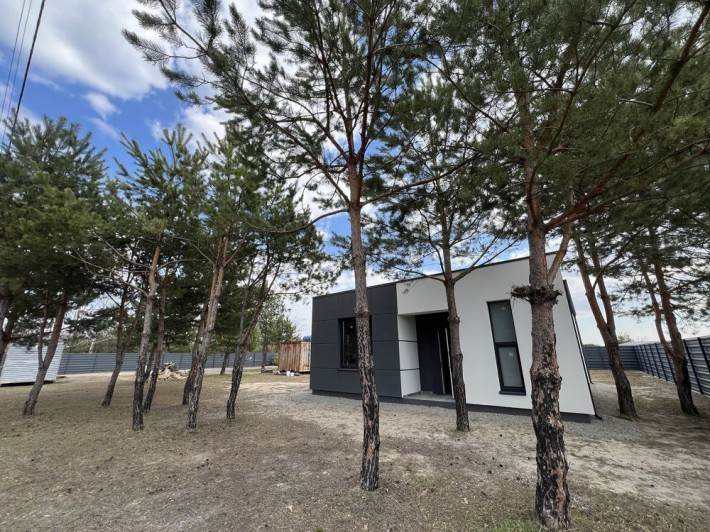 Будинок біля лісу серед сосен - фото 1