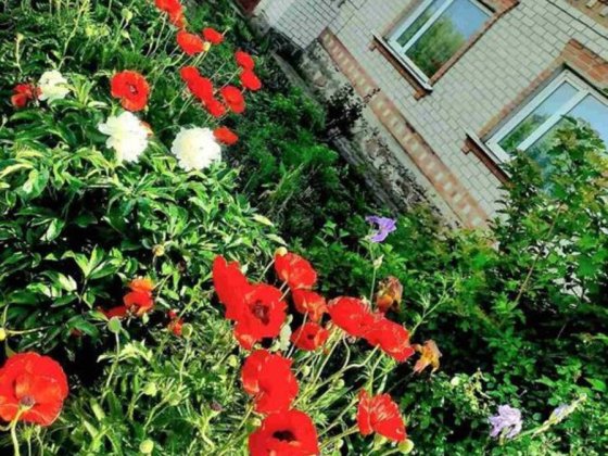 Продам добротний та міцний будинок в місті Бобринець. Бобринець