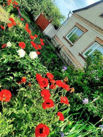 Продам добротний та міцний будинок в місті Бобринець. - фото 1