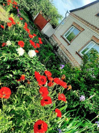 Продам добротний та міцний будинок в місті Бобринець. - фото 1