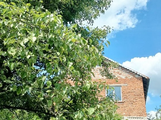 Заміський будинок біля Львова Солонка