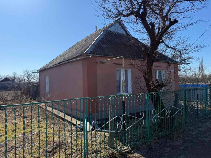 Продам будинок в Новому Бузі - фото 1