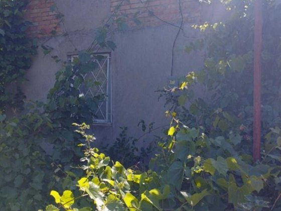 Невеликий будиночок у Фонтанці Фонтанка