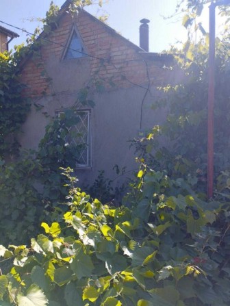 Невеликий будиночок у Фонтанці - фото 1