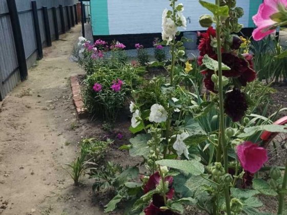 Продам будинок ,ціна 20000$ Котельва