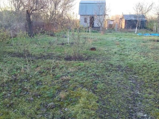 Продається дача срочно Мала Кохнівка