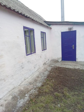 Продам будинок в селі Мачухи від Полтави 10 км - фото 1