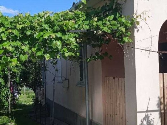 Продається будинок Тростянец