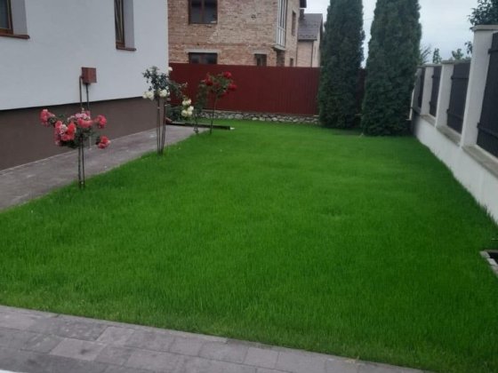 Продається окремий будинок с. В.Гаї Великие Гаи