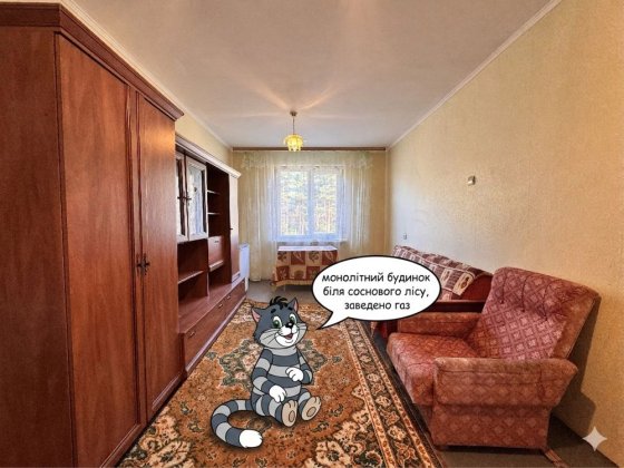 Продаж будинку біля лісу 2006р. Є-відновлення, сертифікат, є-оселя Благодатне