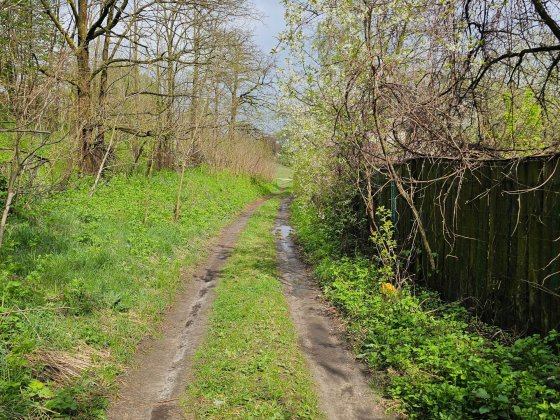Дом, дача, садівництво, земля Киїнка