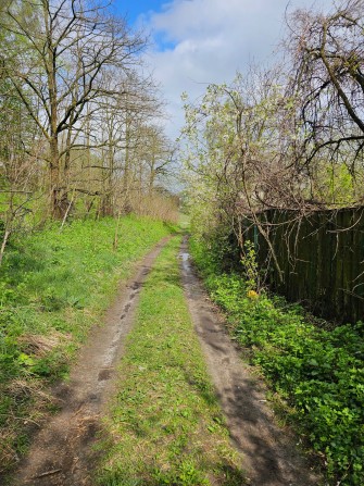 Дом, дача, садівництво, земля - фото 1