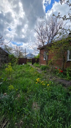 Будинок в с. Локнисте, Чернігівська обл - фото 1