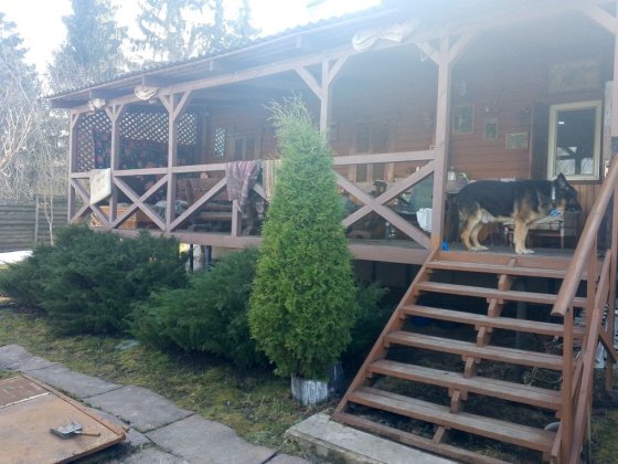 Продам большой дом в с.Комань . Новгород -Северский район. Новгород-Сіверський