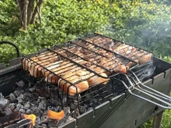 Продам Дачу, Жавинка, тов. «Якір» Жавинка