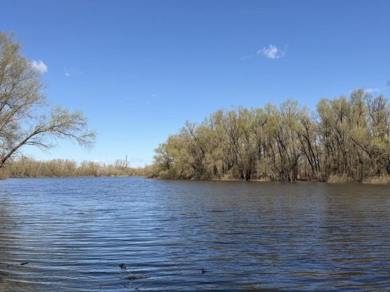 біля ДЕСНИ Продаж дачи Жавинка Жавинка